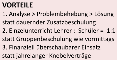 VORTEILE 1. Analyse > Problembehebung > L�sung statt dauernder Zusatzbeschulung  2. Einzelunterricht Lehrer :  Sch�ler =  1:1 statt Gruppenbeschulung wie vormittags 3. Finanziell �berschaubarer Einsatz statt jahrelanger Knebelvertr�ge